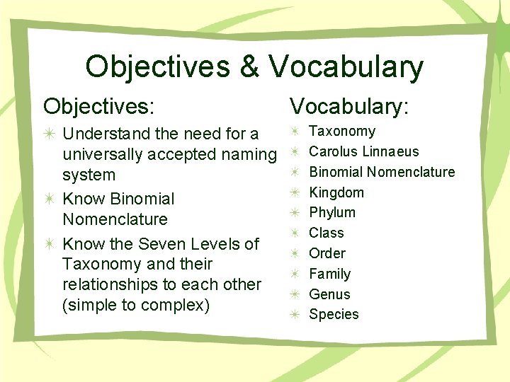 Objectives & Vocabulary Objectives: Understand the need for a universally accepted naming system Know