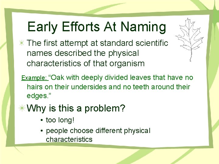 Early Efforts At Naming The first attempt at standard scientific names described the physical
