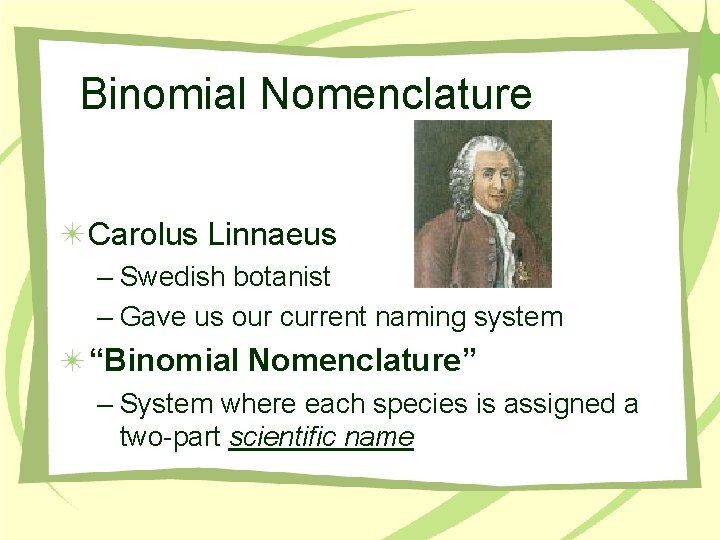 Binomial Nomenclature Carolus Linnaeus – Swedish botanist – Gave us our current naming system