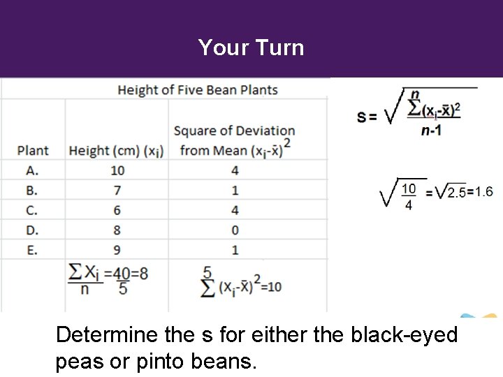 Your Turn Determine the s for either the black-eyed peas or pinto beans. 7