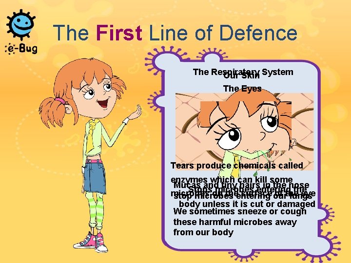 The First Line of Defence The Respiratory Our Skin System The Eyes Tears produce