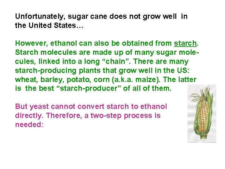 Unfortunately, sugar cane does not grow well in the United States… However, ethanol can