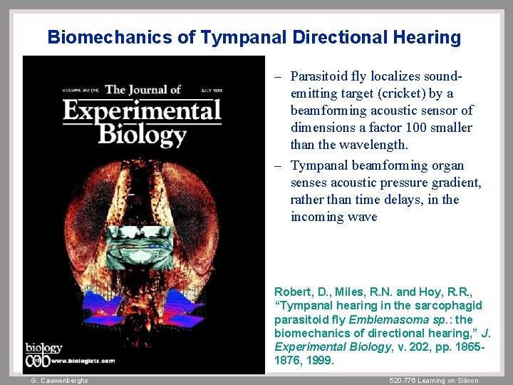 Biomechanics of Tympanal Directional Hearing – Parasitoid fly localizes soundemitting target (cricket) by a