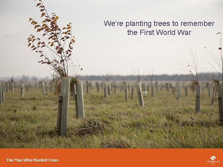 We’re planting trees to remember the First World War The Man Who Planted Trees