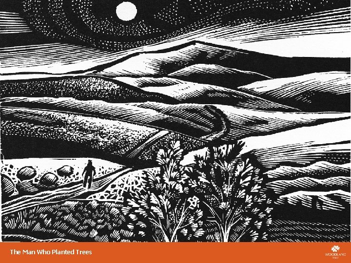 Example background page The Man Who Planted Trees 