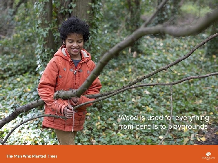 Wood is used for everything from pencils to playgrounds The Man Who Planted Trees