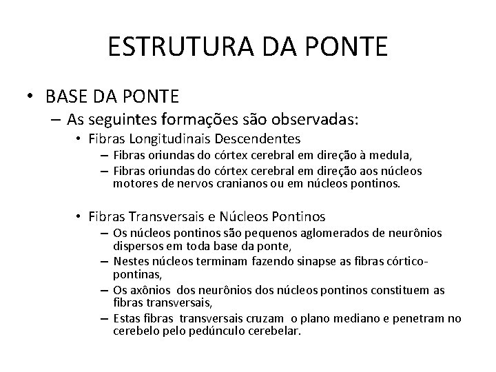 ESTRUTURA DA PONTE • BASE DA PONTE – As seguintes formações são observadas: •