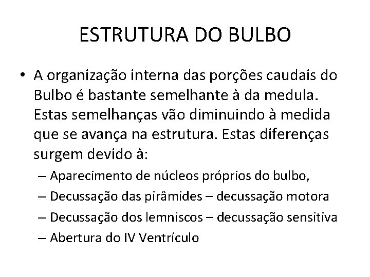 ESTRUTURA DO BULBO • A organização interna das porções caudais do Bulbo é bastante