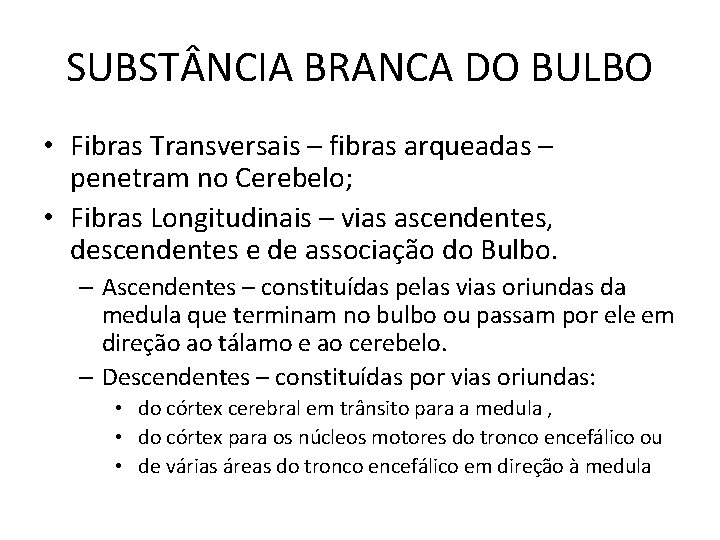 SUBST NCIA BRANCA DO BULBO • Fibras Transversais – fibras arqueadas – penetram no