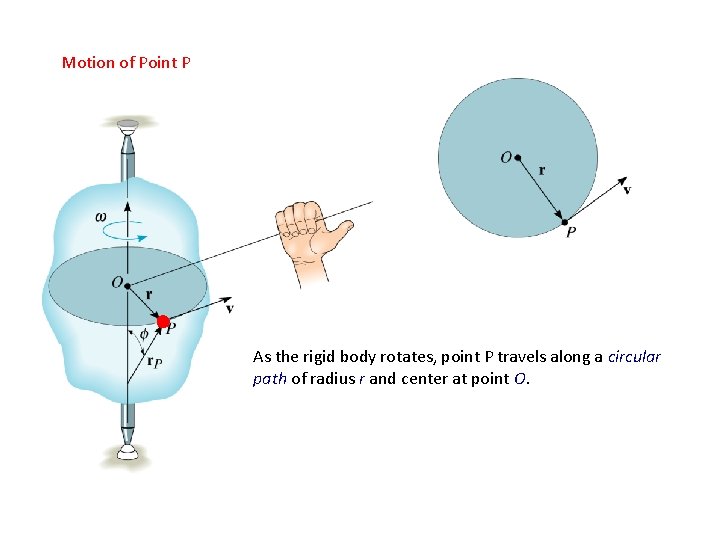 Motion of Point P As the rigid body rotates, point P travels along a