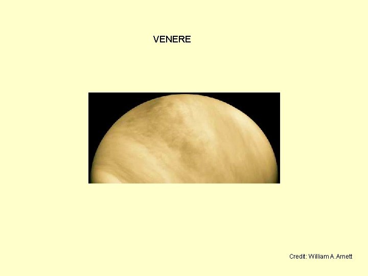 VENERE Credit: William A. Arnett 