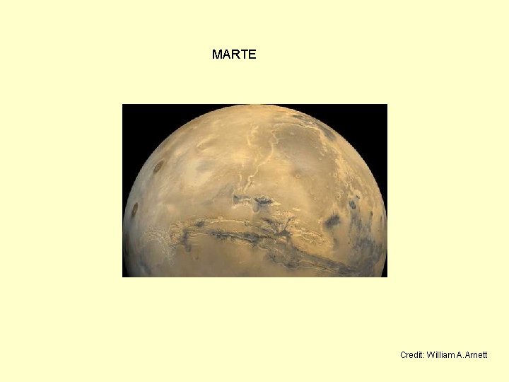 MARTE Credit: William A. Arnett 