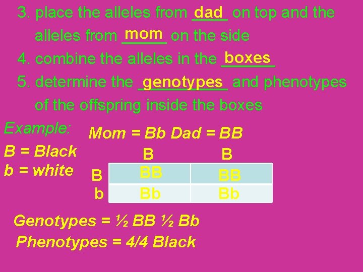 dad 3. place the alleles from ____ on top and the mom alleles from