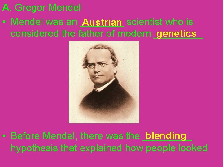 A. Gregor Mendel • Mendel was an ____ scientist who is Austrian genetics considered