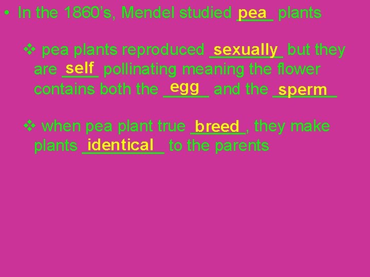 pea • In the 1860’s, Mendel studied ____ plants sexually v pea plants reproduced