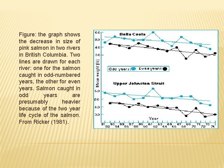 Figure: the graph shows the decrease in size of pink salmon in two rivers