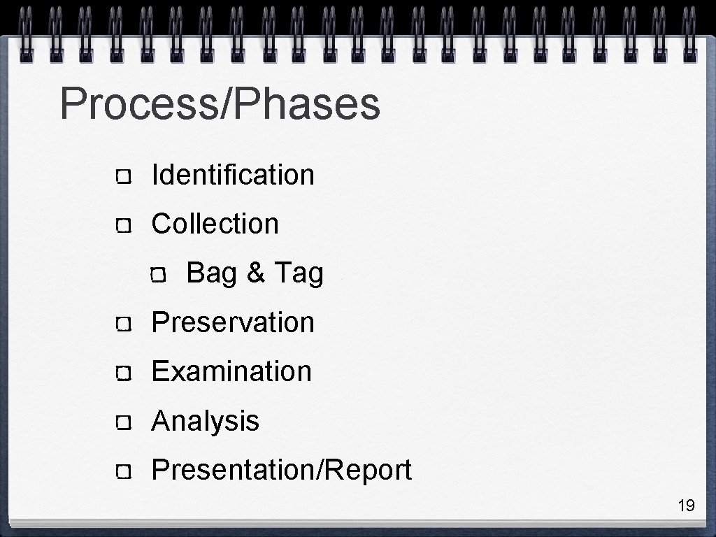 Process/Phases Identification Collection Bag & Tag Preservation Examination Analysis Presentation/Report 19 