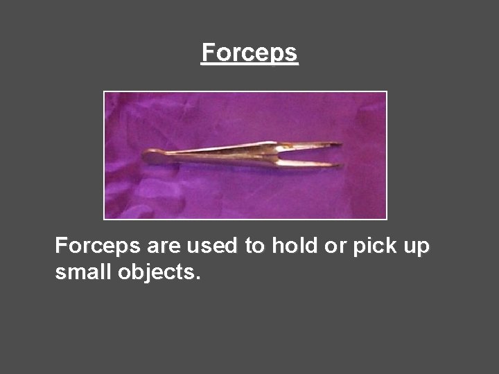 Forceps are used to hold or pick up small objects. 