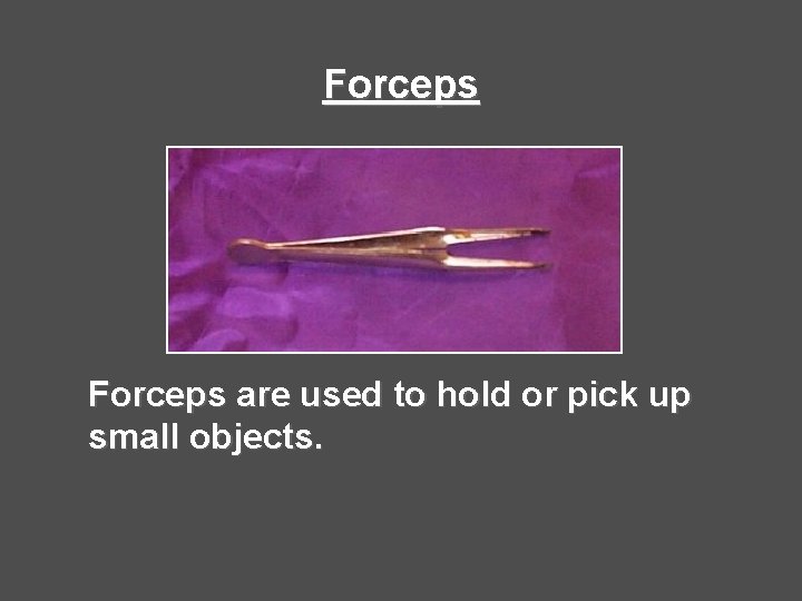 Forceps are used to hold or pick up small objects. Forceps are used to hold or pick up small objects.