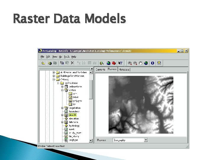 Raster Data Models 