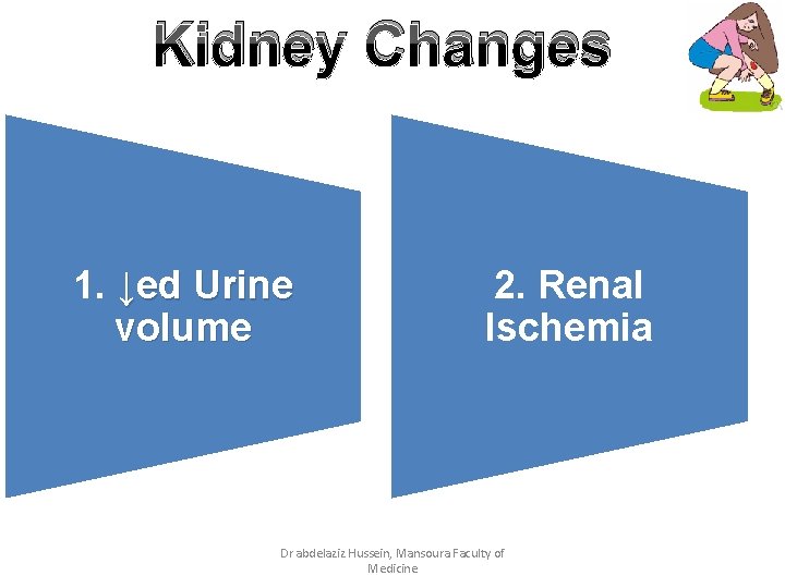 Kidney Changes 1. ↓ed Urine volume 2. Renal Ischemia Dr abdelaziz Hussein, Mansoura Faculty