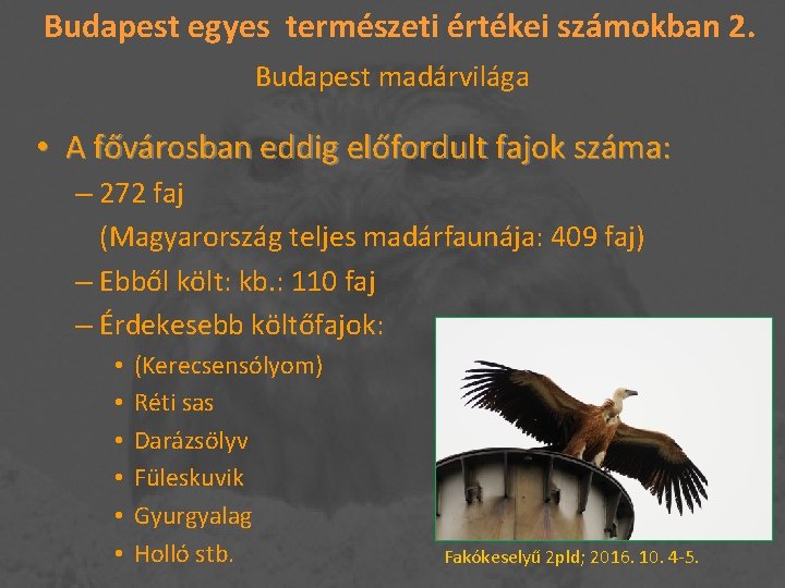 Budapest egyes természeti értékei számokban 2. Budapest madárvilága • A fővárosban eddig előfordult fajok