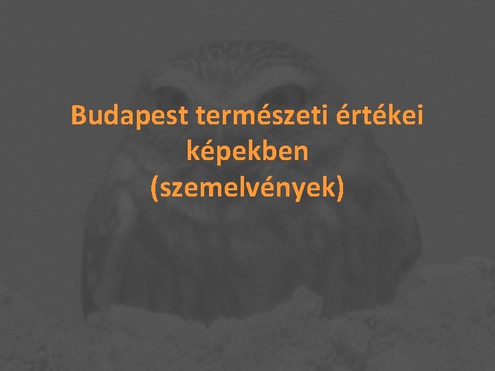 Budapest természeti értékei képekben (szemelvények) 