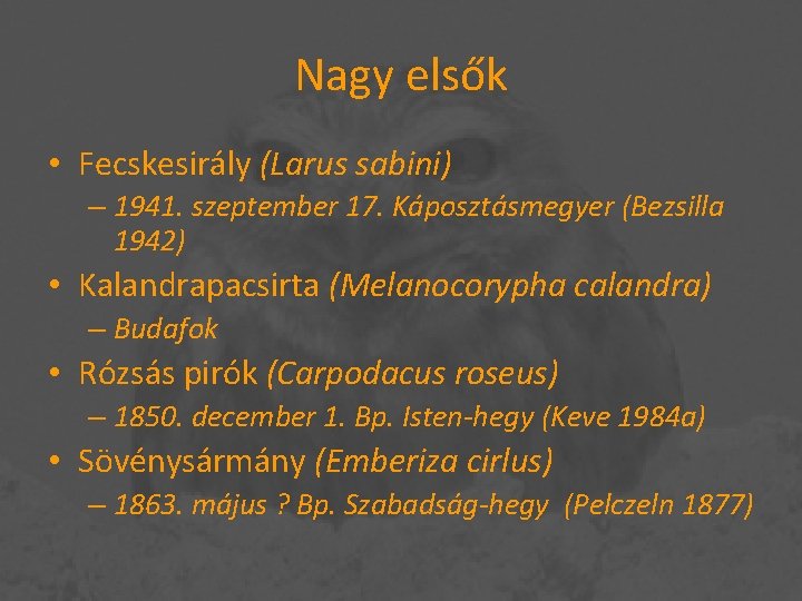 Nagy elsők • Fecskesirály (Larus sabini) – 1941. szeptember 17. Káposztásmegyer (Bezsilla 1942) •