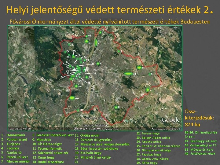 Helyi jelentőségű védett természeti értékek 2 . Fővárosi Önkormányzat által védetté nyilvánított természeti értékek