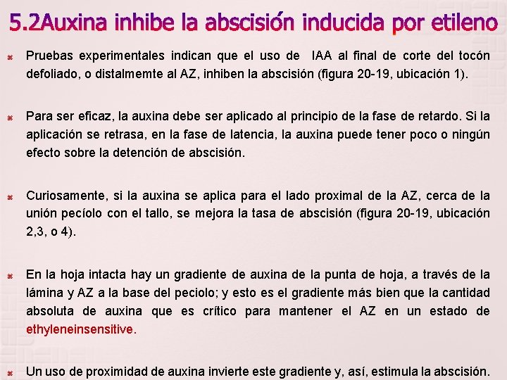 5. 2 Auxina inhibe la abscisión inducida por etileno Pruebas experimentales indican que el