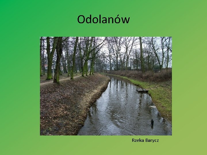 Odolanów Rzeka Barycz 