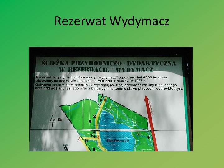 Rezerwat Wydymacz 