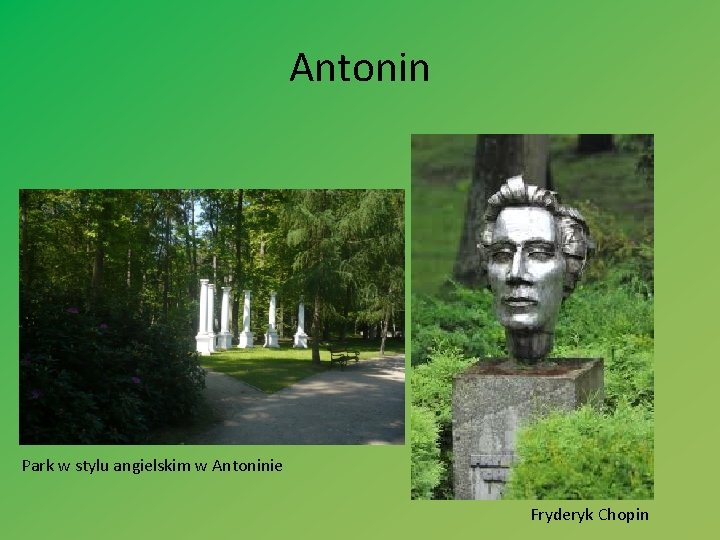 Antonin Park w stylu angielskim w Antoninie Fryderyk Chopin 