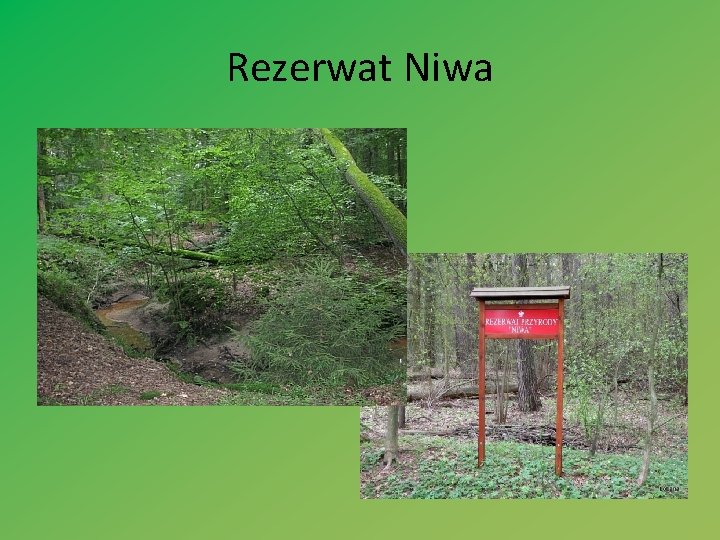 Rezerwat Niwa 