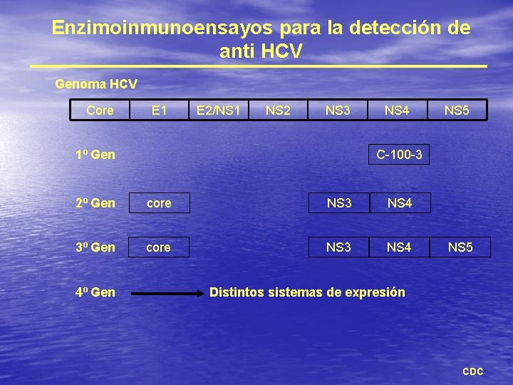 Enzimoinmunoensayos para la detección de anti HCV Genoma HCV Core E 1 E 2/NS