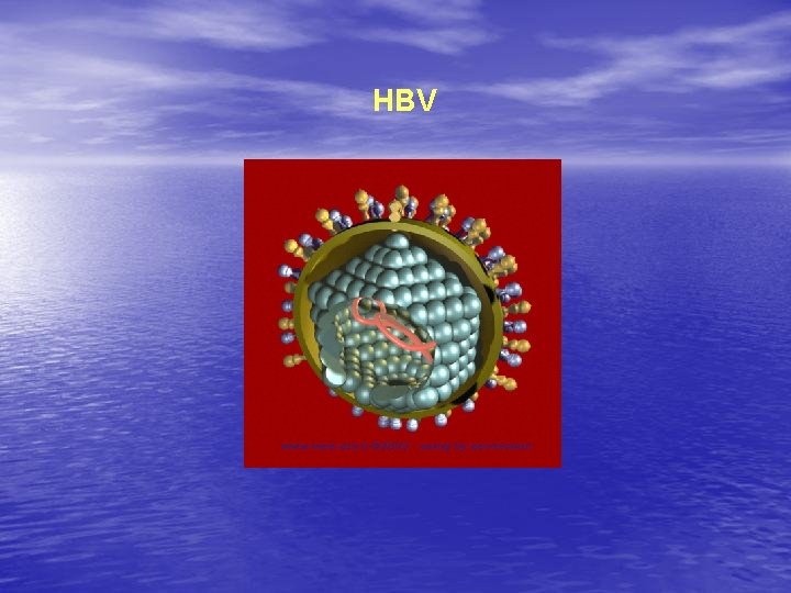 HBV 