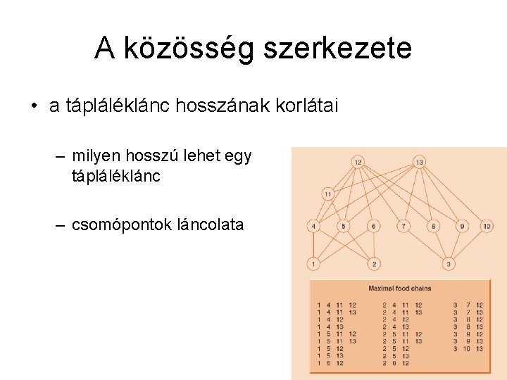 A közösség szerkezete • a tápláléklánc hosszának korlátai – milyen hosszú lehet egy tápláléklánc