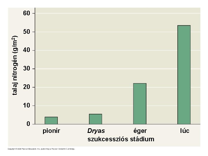 60 talaj nitrogén (g/m 2) 50 40 30 20 10 0 pionír Dryas éger