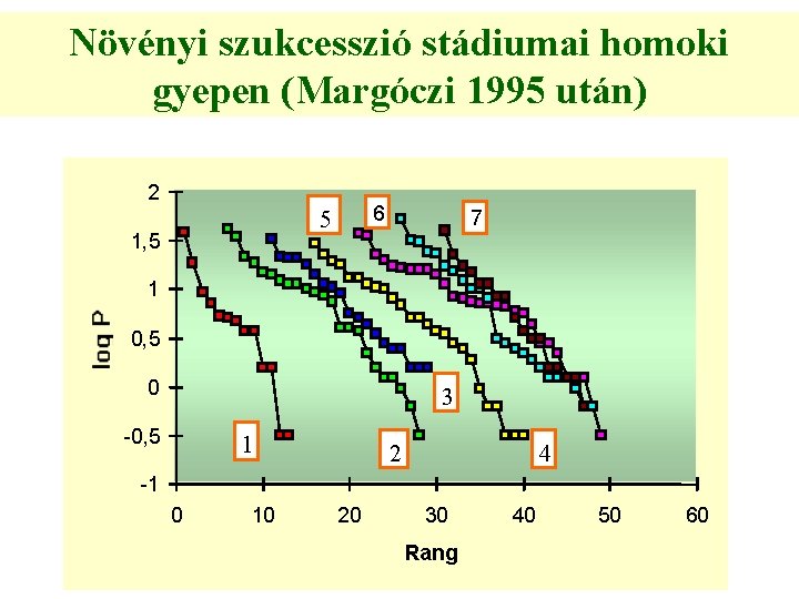 Növényi szukcesszió stádiumai homoki gyepen (Margóczi 1995 után) 2 6 5 1, 5 7