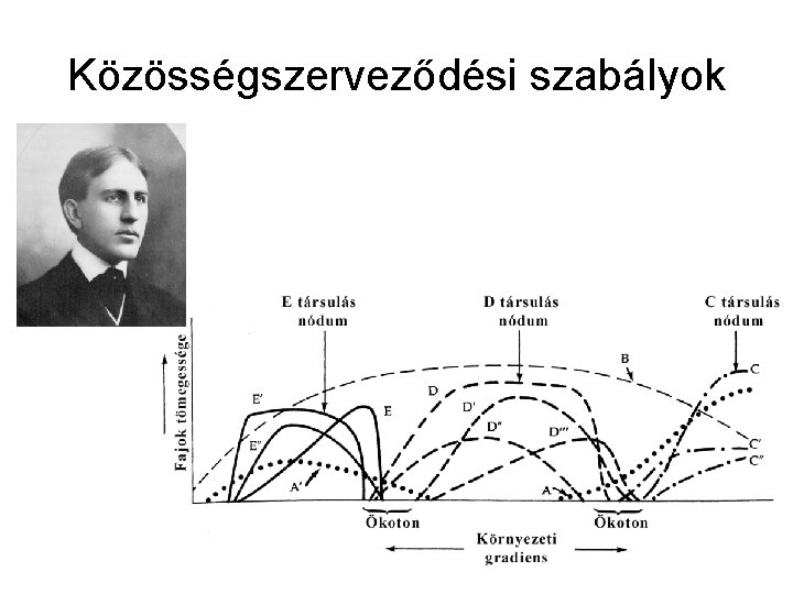 Közösségszerveződési szabályok 