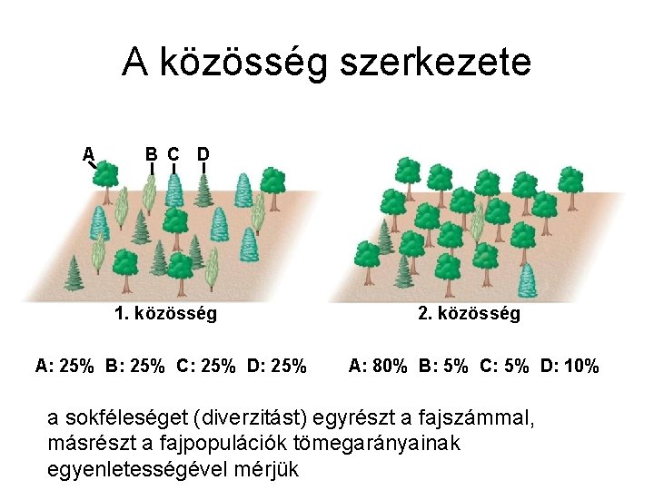 A közösség szerkezete A B C D 1. közösség A: 25% B: 25% C: