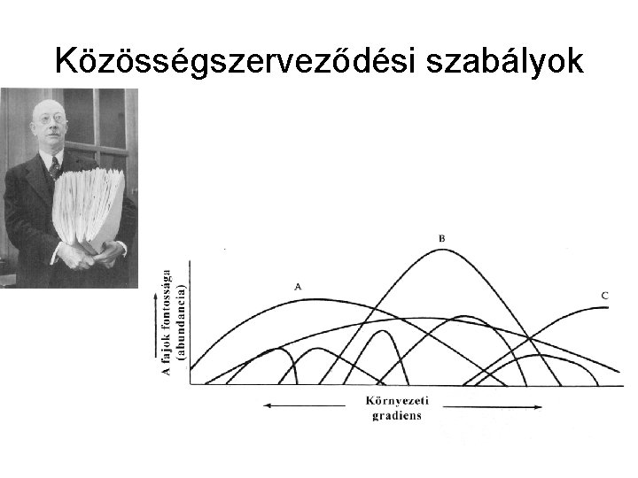 Közösségszerveződési szabályok 