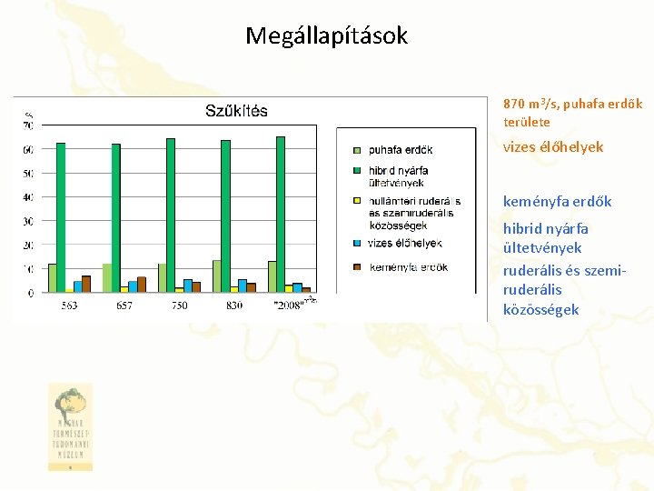 Megállapítások • 870 m 3/s, puhafa erdők területe • vizes élőhelyek • keményfa erdők