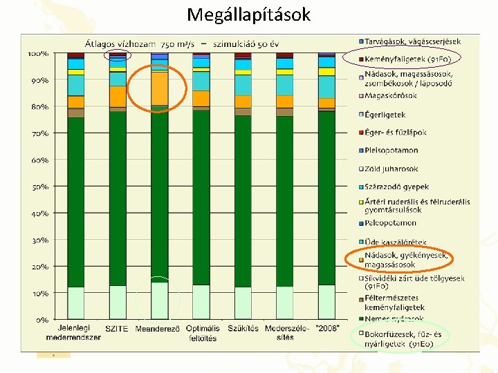 Megállapítások 