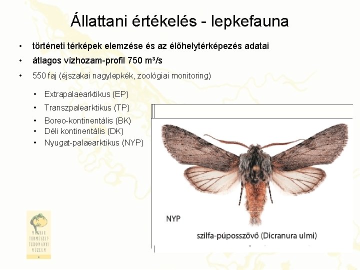 Állattani értékelés - lepkefauna • történeti térképek elemzése és az élőhelytérképezés adatai • átlagos