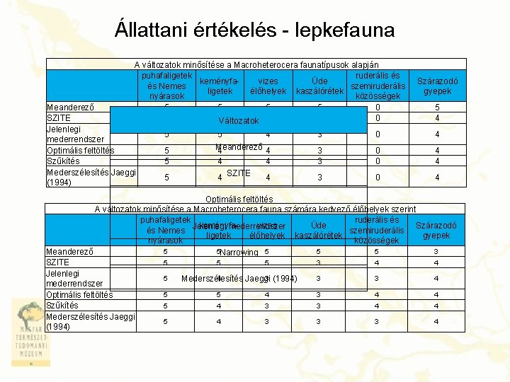 Állattani értékelés - lepkefauna A változatok minősítése a Macroheterocera faunatípusok alapján puhafaligetek ruderális és