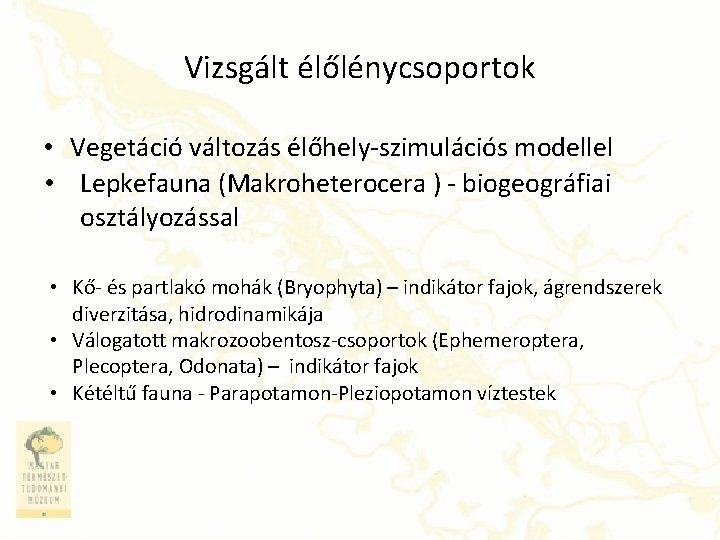 Vizsgált élőlénycsoportok • Vegetáció változás élőhely-szimulációs modellel • Lepkefauna (Makroheterocera ) - biogeográfiai osztályozással