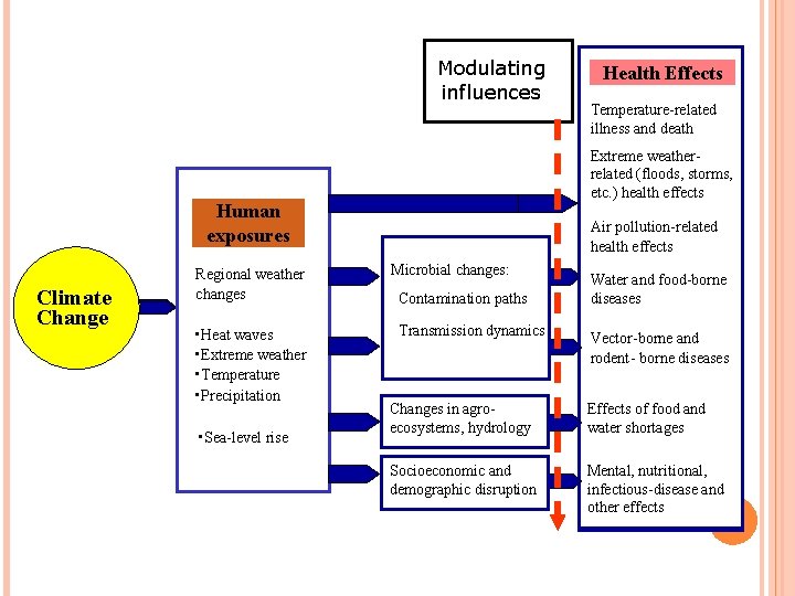 Modulating influences Air pollution-related health effects Regional weather changes Microbial changes: Contamination pathways Contamination