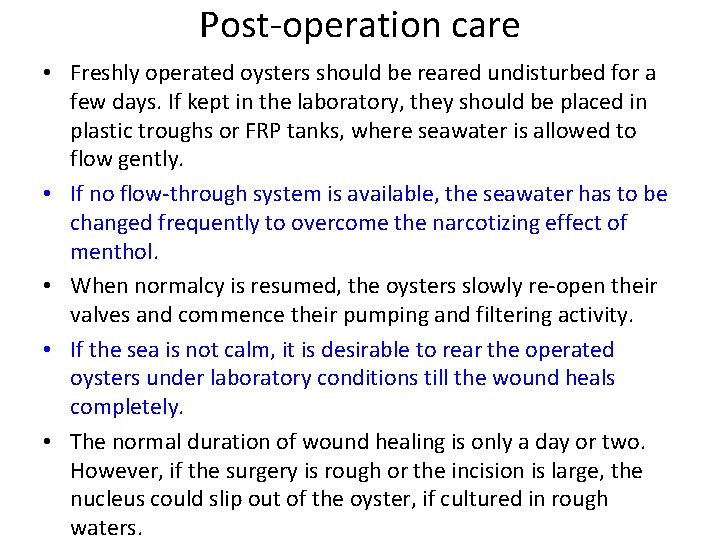 Post-operation care • Freshly operated oysters should be reared undisturbed for a few days.