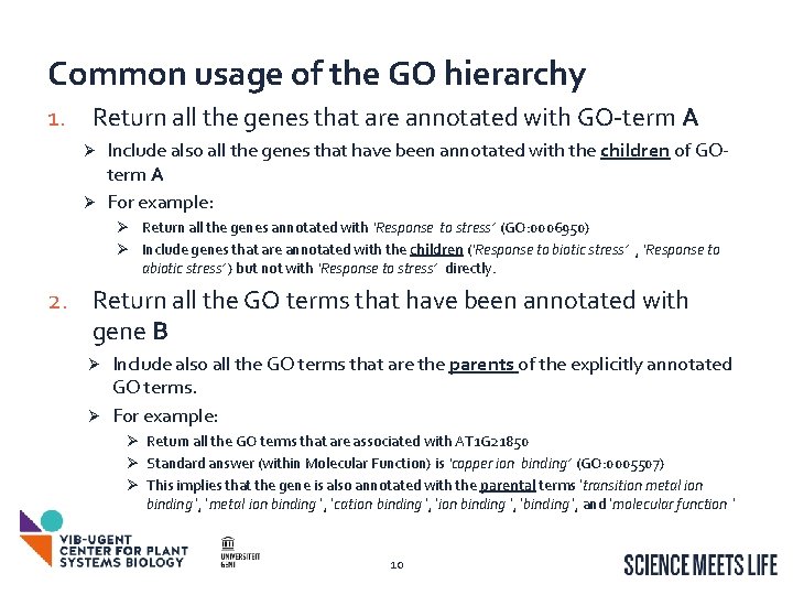 Common usage of the GO hierarchy 1. Return all the genes that are annotated Common usage of the GO hierarchy 1. Return all the genes that are annotated